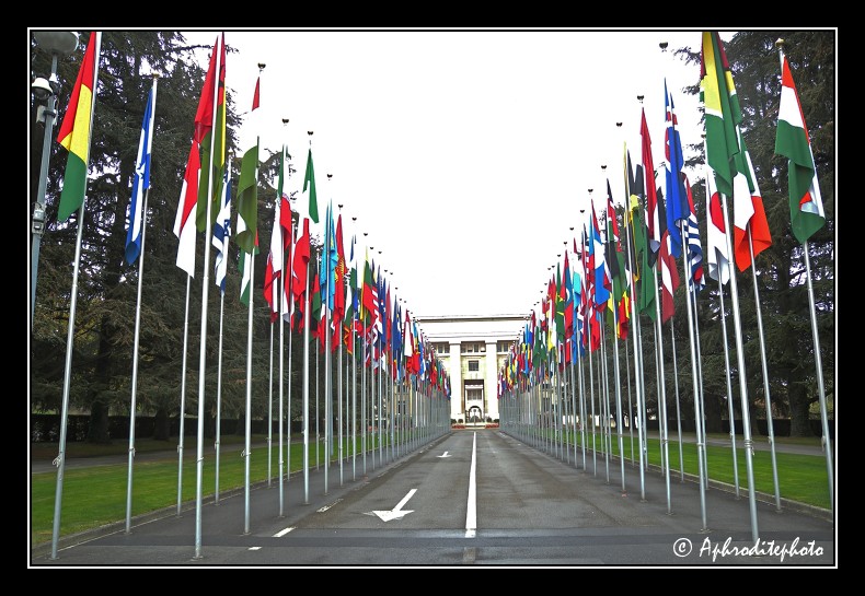 173 Allee de l entree principale du batiment ONU